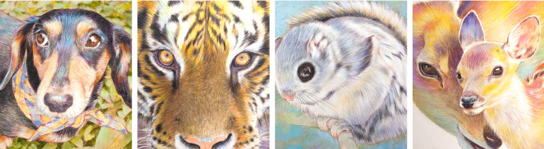 鳥取県,鳥取市,倉吉市