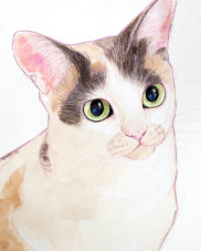 ����G�t �h�� ���Q��,���R�s,�����s,�V���l�s