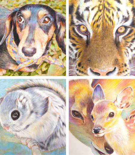 鳥取県,鳥取市,倉吉市