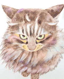 �C�x���g�o������G ���쌧,�����s,��o�s,�ۋT�s